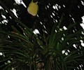 102-0297_IMG.JPG