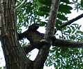 101-0170_IMG.JPG