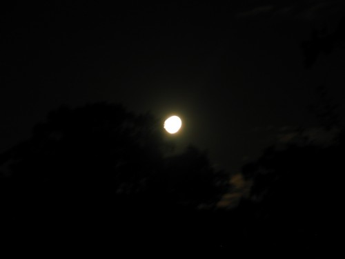 IMG_9334.JPG