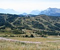 172_7238-1.JPG