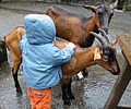 172_7205.JPG