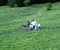 172_7295-1.JPG