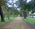 16042007063.jpg