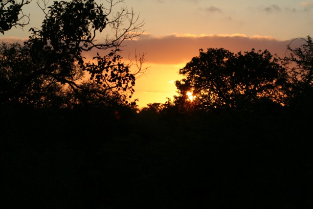 IMG_4965.JPG