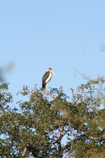 IMG_5067.JPG