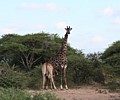 IMG_5057.JPG