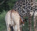 IMG_5058.JPG