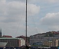 IMG_1003.JPG